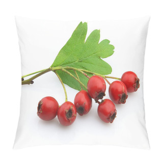 Personality  Hawthorn Pillow Covers