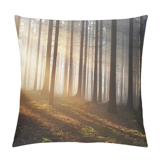Personality  Tree Silhouettes In A Dark Misty Forest Pillow Covers