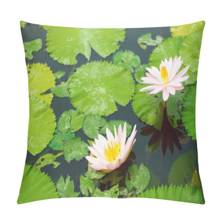 Personality  Pink Water Lilies And Leaves In A Pond Pillow Covers