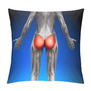 Personality  Glutes Gluteus Maximus - Female Anatomy Muscles Pillow Covers