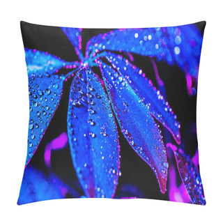 Personality  Toned Image Of Blue Schefflera Leaf With Drops, On Black Pillow Covers