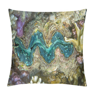 Personality  Mantle Of A Giant Clam, Tridacna, Growing On A Coral Reef  Pillow Covers