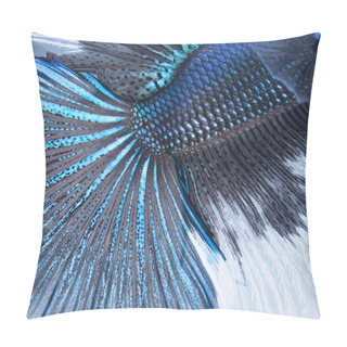 Personality  Betta Tail Fish Abstract Pillow Covers