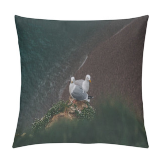 Personality  High Angle View Of Seagulls Couple Perching On Cliff Over Sea, Etretat, France Pillow Covers