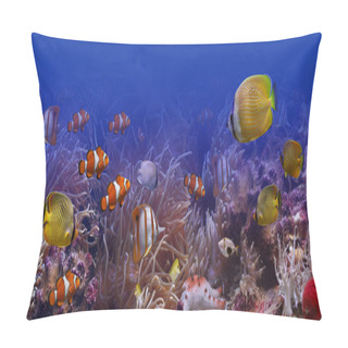 Personality  Exotic Fish Pillow Covers