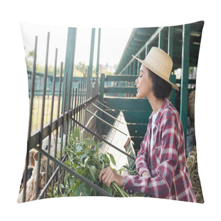 Personality  Side View Of African American Woman In Straw Hat Feeding Sheep Near Manger Pillow Covers