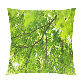 Personality  Natural Green Leaves For Background. Safe World And Ecology Concept. Pillow Covers