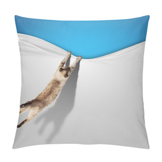 Personality  Siamese Cat Pillow Covers