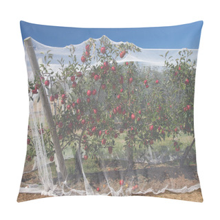 Personality  Apple Vines With Protective Nets On Them Pillow Covers