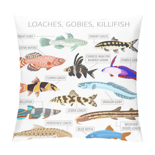 Personality  Loaches, Gobies, Killfish. Freshwater Aquarium Fish Icon Set Flat Style Isolated On White.  Vector Illustration Pillow Covers