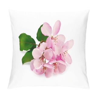 Personality  Apple Pink Flowers Pillow Covers