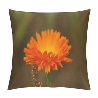 Personality Close-up Of An Orange Calendula Officinalis (marigold) Leaning Against A Spike And Blending Into A Slightly Mosaic Background. Pillow Covers