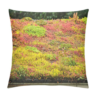 Personality  Vegetated Sloping Roof With Sedum In Vibrant Yellow, Red And Green Pillow Covers