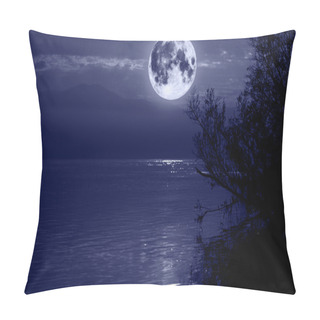 Personality  Blue Moon Pillow Covers