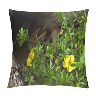 Personality  Buttercup Pillow Covers