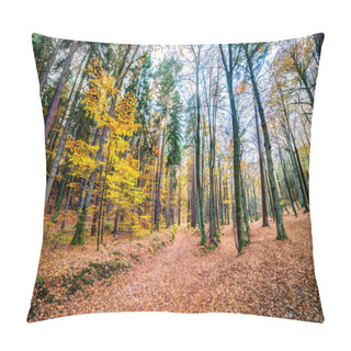 Personality  An Autmn Forest Pillow Covers
