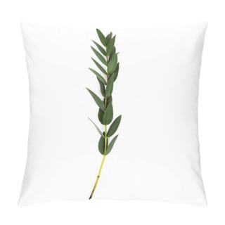 Personality  Twig With Green Leaves Isolated On White Pillow Covers
