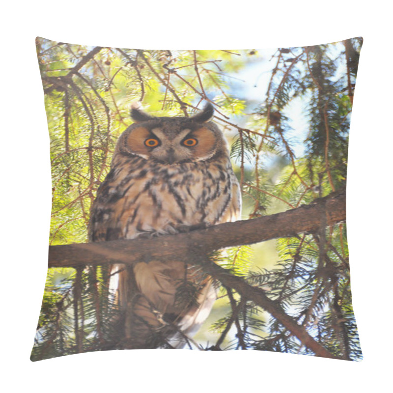 Personality  An owl eared (Asio Otus) sits on a tree pillow covers