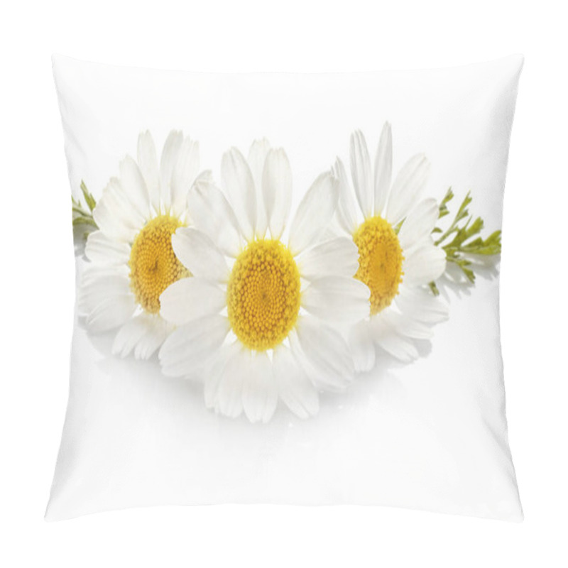 Personality  Beautiful chamomile flowers  pillow covers