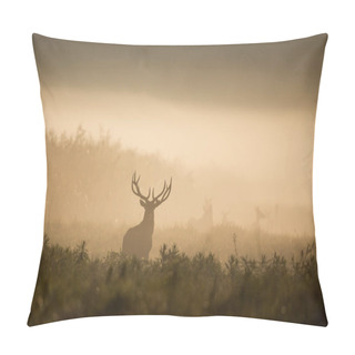 Personality  Silhouette Of Red Deer With Big Antlers In Reed On Foggy Morning. Wildlife In Natural Habitat Pillow Covers