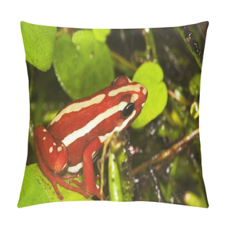 Personality  IMMOBILIER Pillow Covers