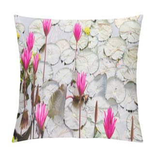 Personality  Panorama Small Pond Dense Of Floating Water Lily Round Green Leaves Surrounding Pink Blossom Lilies Flower Ultra Violet, Water Hyacinth, Nymphaeaceae Is Popular In Tropical Climate. Background Pillow Covers