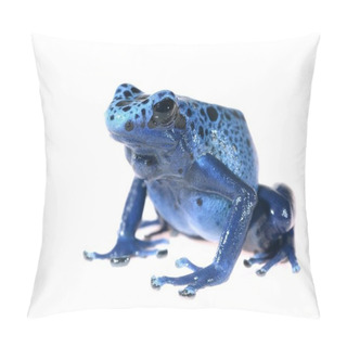 Personality  Blue Dyeing Dart Frog Dendrobates Tinctorius Azureus Isolated On White Pillow Covers