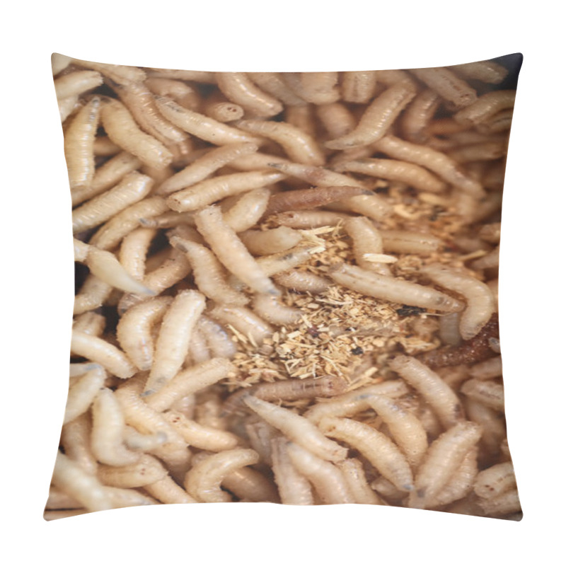 Personality  Many Maggots Pillow Covers