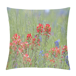 Personality  Indian Paintbrush Flowers Close Up With Green Background And Some Bluebonnets. Pillow Covers