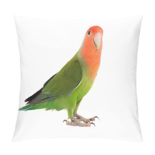 Personality  A Portrait Lovebird  Pillow Covers