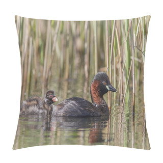 Personality  Little Grebe With Young In Tow Pillow Covers