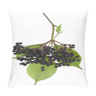 Personality  Elderberry Berries Isolated On White Background Pillow Covers