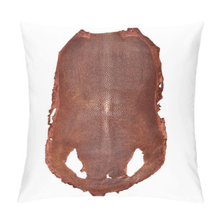 Personality  Stingray Skin Pillow Covers