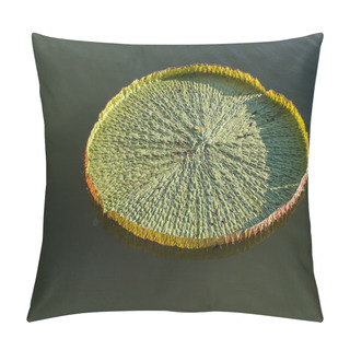 Personality  Big Lotus Leaf Pillow Covers