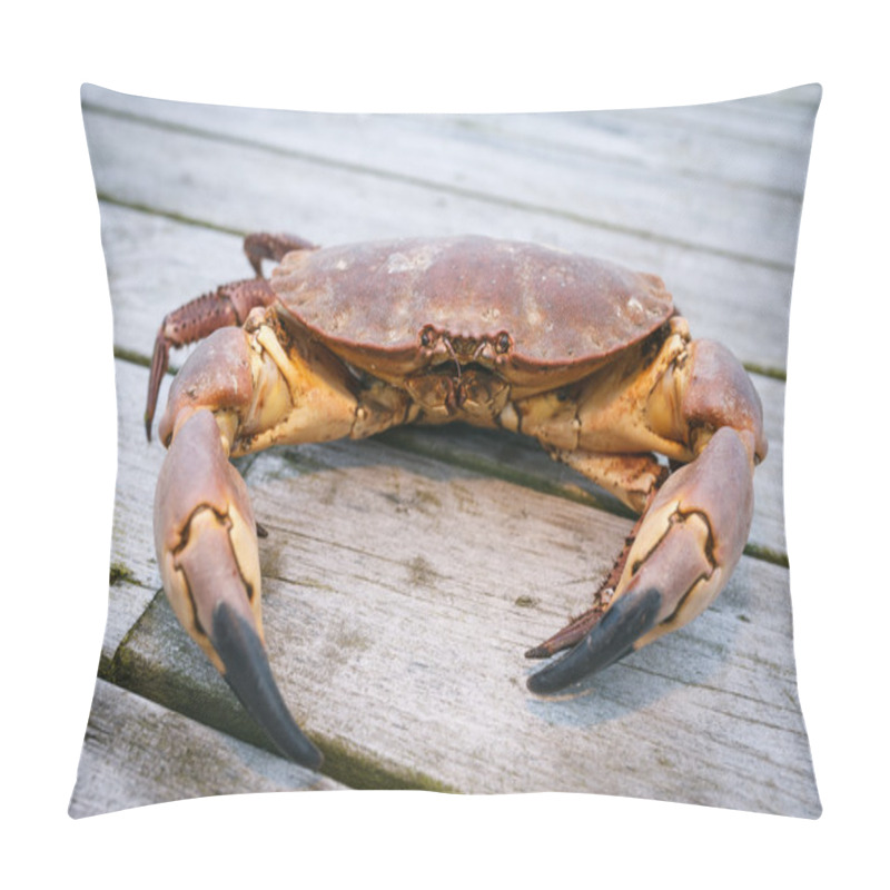 Personality  Crab On The Weathered Wooden Terrace Pillow Covers
