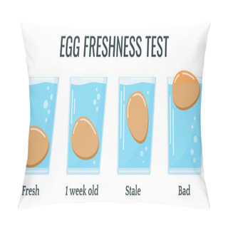 Personality  Eggs Floating In Transparent Glass Of Water Isolated On White Background. Egg Freshness Test. Four Degree Set Of Freshness From Fresh Product To Bad. Vector Flat Design Cartoon Style Food Illustration Pillow Covers