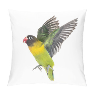 Personality  Yellow-collared Lovebird Flying, Isolated On White Pillow Covers