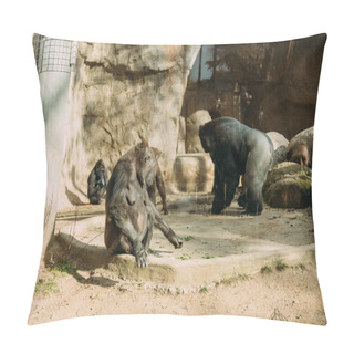 Personality  Chimps And Gorilla In Zoological Park, Barcelona, Spain  Pillow Covers