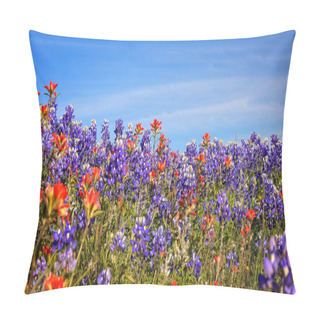 Personality Field Of Texas Spring Wildflowers - Bluebonnets And Indian Paint Pillow Covers