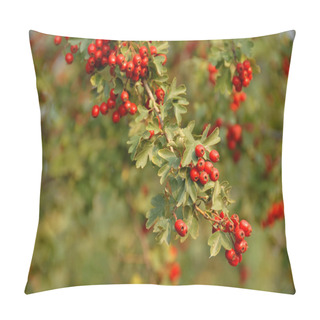 Personality  Hawthorn Branch Pillow Covers