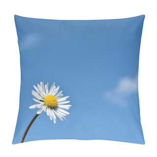 Personality  Daisy In Springtime Pillow Covers
