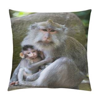 Personality  Mother Macaque With A Baby Pillow Covers