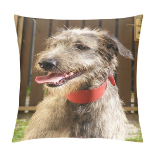 Personality  Irish Wolfhound Portrait Pillow Covers