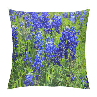 Personality  Texas Bluebonnets Pillow Covers