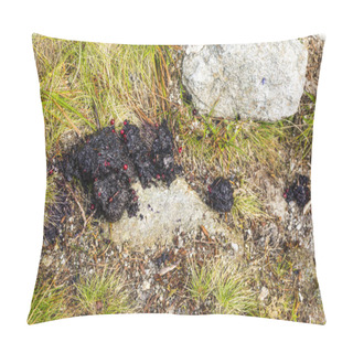 Personality  Marking By The Excrement Of The Feeding Territory By The Brown Bear (Ursus Arctos). Pillow Covers