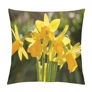 Personality  A Bunch Of Miniature Daffodils Pillow Covers