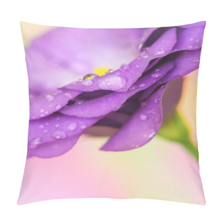 Personality  Lisianthus Flower On Pastel Background Pillow Covers