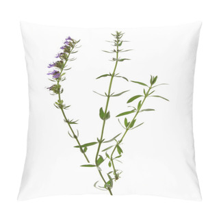 Personality  Hyssop (Hyssopus Officinalis) Pillow Covers