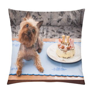 Personality  Yorkshire Terrier Birthdays Pillow Covers