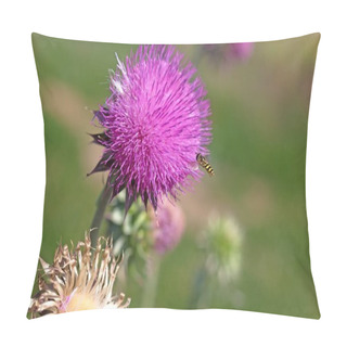 Personality  Flying Bee Attracted By A Beautiful Flower.  Pillow Covers